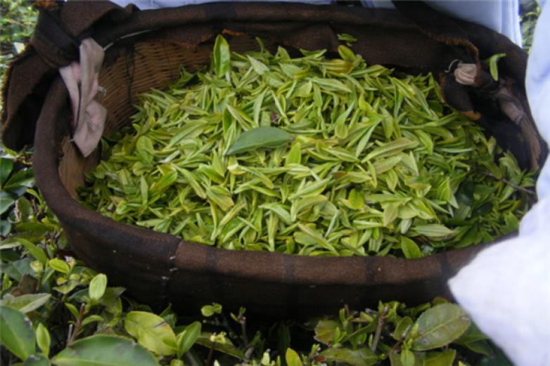 五福茶艺馆